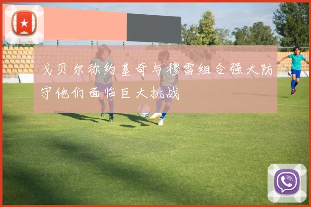 戈贝尔称约基奇与穆雷组合强大防守他们面临巨大挑战